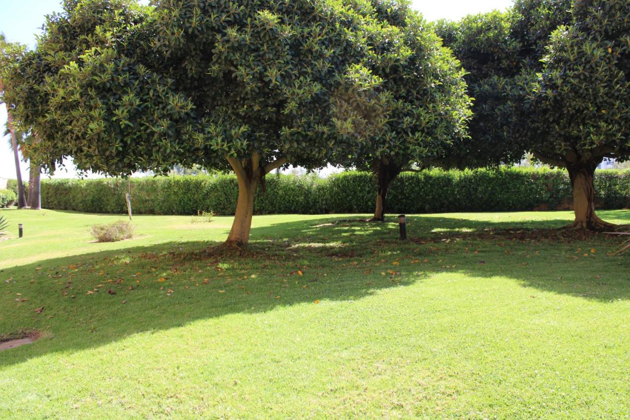 Apto. De 1 Dormitorio En Primera Linea De Playa. Isla Canela Huelva Exterior foto